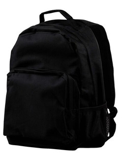 BAGedge BE030 - Urban Commuter Laptop Backpack with Organizer