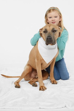 Doggie Skins 3905 - Stylish Comfort Dog Bandana by Doggie Skins