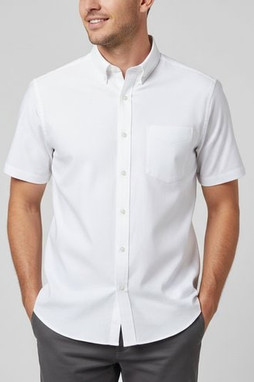 Landmark 17733 - Oxford SS shirt
