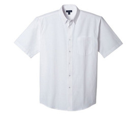 Landmark 17733 - Oxford SS shirt