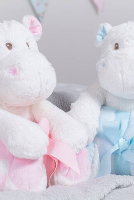Mumbles MM606 - Teddy Bear and coverage