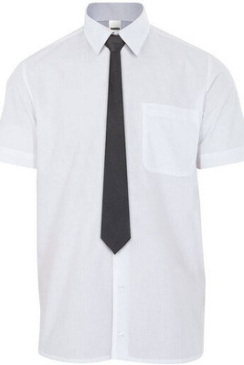 VELILLA VL051 - Velilla Satin Elegance Tie for Professional Wear