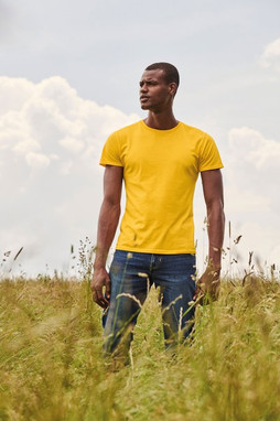 Fruit of the Loom SC61430 - T-shirt iconica da uomo