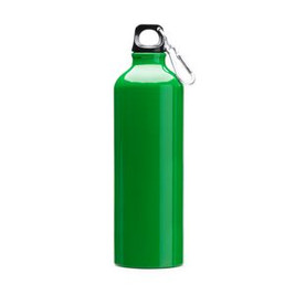 BAOBAB Aluminium bottle with carabiner - EgotierPro MD4049
