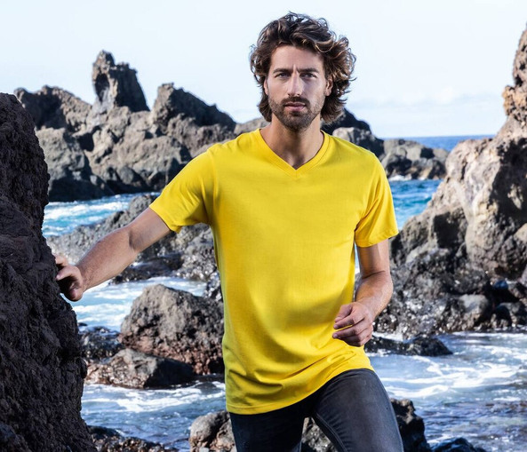 Men's-V-neck-T-shirt-Wordans