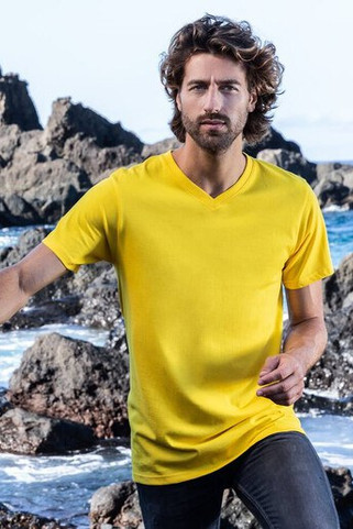 Mens-V-neck-T-shirt-Wordans