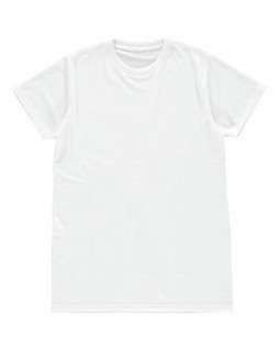 Vanilla VAN101 - Mens Modern Fit Polyester Athletic Tee