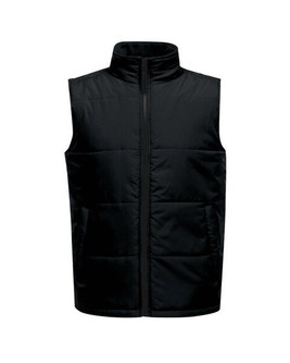 Regatta TRA842 - Thermo-Guard Water Repellent Insulated Bodywarmer