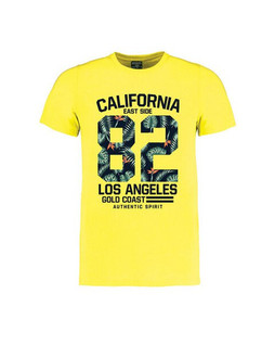 XPRES XP3124-20 - EVOLUTION PRINT 50CM