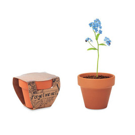 GiftRetail MO6146 - FORGET ME NOT Charming Terracotta Pot with Forget Me Not Seeds