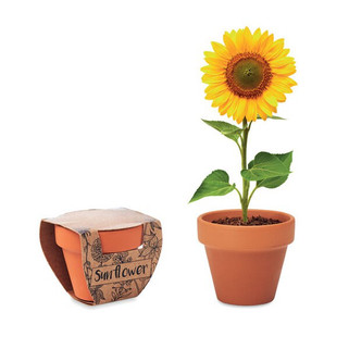 SUNFLOWER Terracotta pot sunflower - GiftRetail MO6147