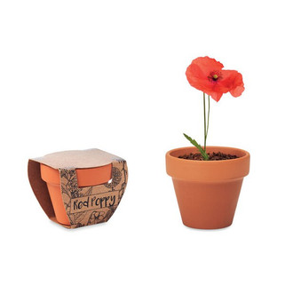 RED POPPY Handcrafted Terracotta Pot with Poppy Seeds - GiftRetail MO6148