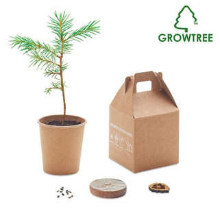 GROWTREE Eco-Friendly Pine Tree Growing Kit for Home Gardens - GiftRetail MO6228