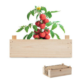 GiftRetail MO6498 - TOMATO Complete Tomato Growing Kit in Wooden Crate