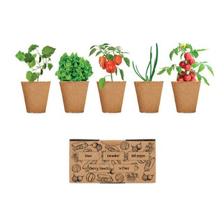 SALAD Complete Salad Garden Kit with Seeds - GiftRetail MO6499