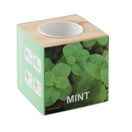 GiftRetail MO9337 - MENTA Wooden Herb Pot with Mint Seeds for Indoor Gardening