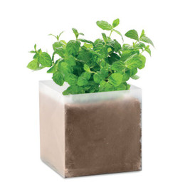 GiftRetail MO9546 - MINT Compost met munt zaadjes