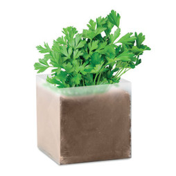 GiftRetail MO9547 - PARSELY Semi di prezzemolo