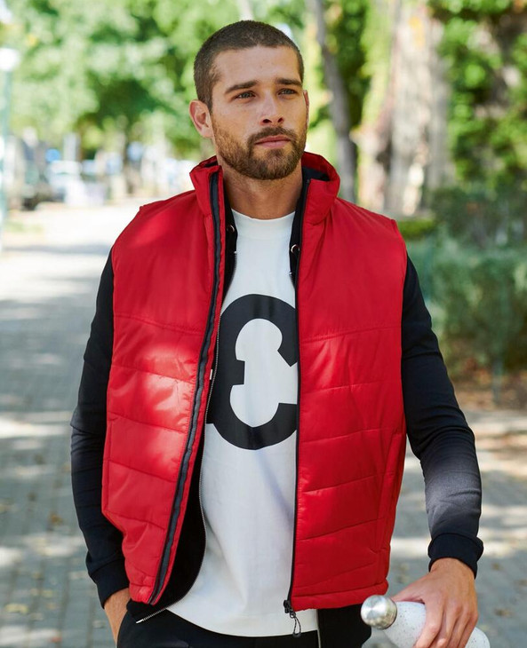Regatta Professional RTRA831 - Men's Thermo-Guard Insulated Padded Bodywarmer