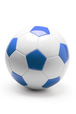 TUCHEL Size 5 football ball in imitation leather - EgotierPro FB2151