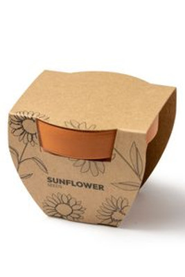 GIRAX Terracotta flower pot with sunflower seeds - EgotierPro MC1036