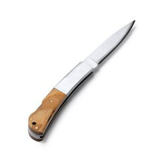 VIDUR Jackknife in stainless steel and combined grip with natural wood - EgotierPro NA3989