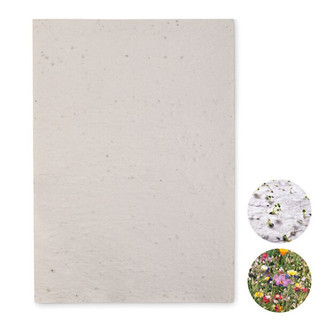 ASIDI Niittykukkien siemeniä A4 - GiftRetail MO6914