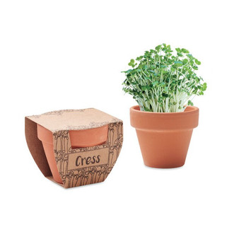 CRESS POT Terracotta Cress Growing Kit with Seeds and Soil - GiftRetail MO2219