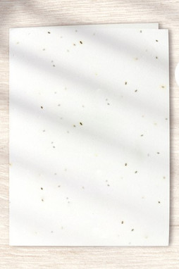 Goya 50699140GR1C - DOBBELT GERMINA-KORT 140GR 1 SIDE