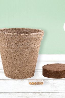 Goya 52080K - Biodegradable Herb Pot: Chives, Basil, Oregano CERES