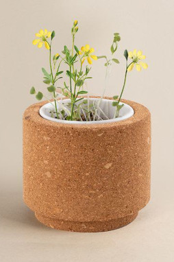 Goya 53531K - Korkpotte med jordpille, frø: Vilde blomster LUWA