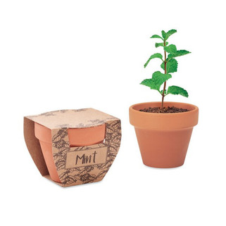 MINT POT Terracotta Mint Grow Kit with Seeds and Soil Tablet - GiftRetail MO2218