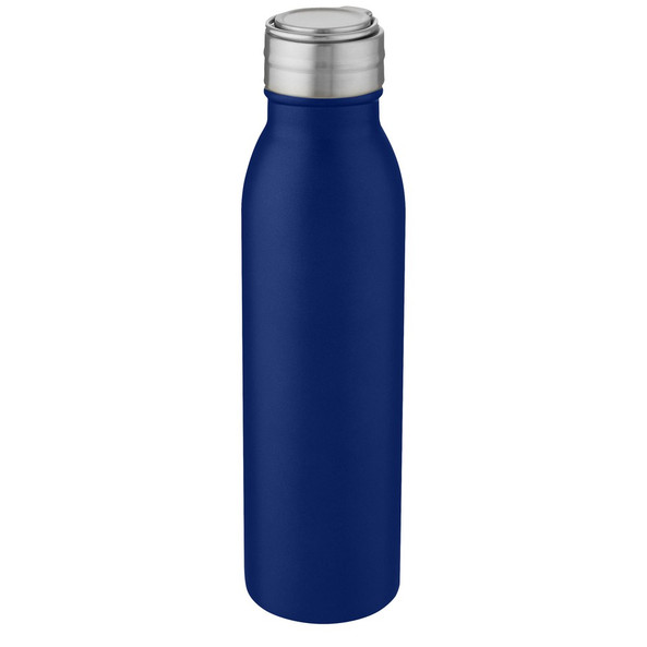 EgotierPro 100678 - Bouteille en Acier Inoxydable Harper 700 ml avec Anse Métallique