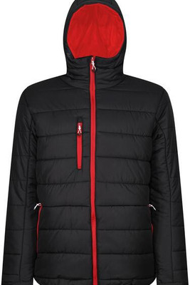 Regatta Professional RTRA241 - Regatta Men's Thermal Hooded Jacket with Recycled Padding