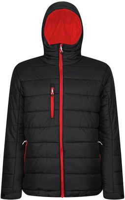 Regatta Professional RTRA241 - Regatta Mens Thermal Hooded Jacket with Recycled Padding