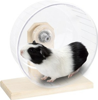 Flamingo f-1030977 - Jouet Roue dexercice Brun clair