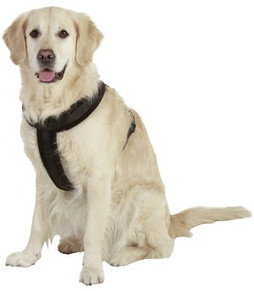 Flamingo f-1031175 - Harnais Sportif Confortable pour Chiens
