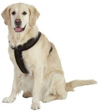 Flamingo f-1031175 - Harnais Sportif Confortable pour Chiens