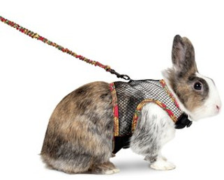 Flamingo f-1031337 - Comfort Art Joy Multicolor Rabbit Harness Set