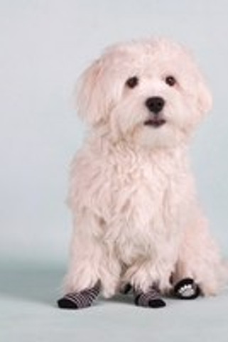 Flamingo f-15227 - PawGrip Non-Slip Dog Socks for Slippery Floors