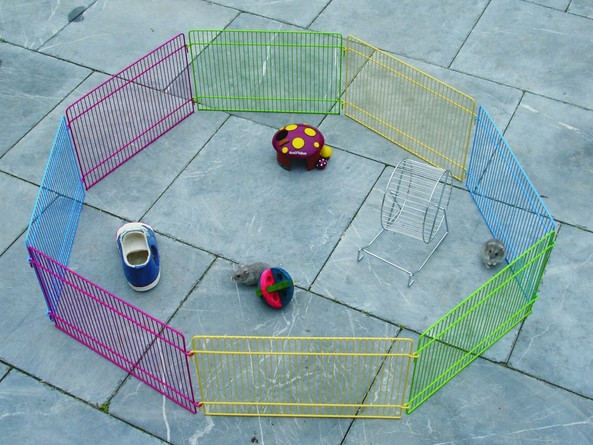 Flamingo f-200528 - Parc de Jeu pour Petits Animaux Domestiques