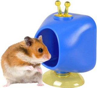 Flamingo f-210114 - Télévision Jouet Interactif Bleu pour Enfants