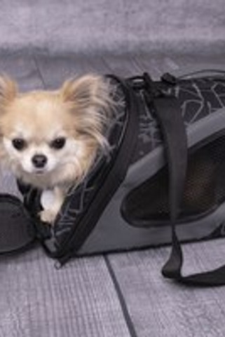 Flamingo f-31391 - Sac de transport Gris foncé