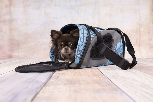 Flamingo f-31390 - Sac de Transport Confort pour Animaux de Compagnie