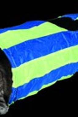 Flamingo f-33162 - Jouet Tunnel avec balle Bleu & Vert