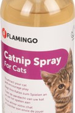 Flamingo f-39469 - Appât Premium CareHerbe-aux-chats