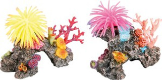 Flamingo f-401307 - Décoration Anémone