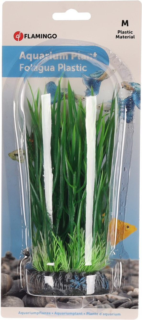 Flamingo f-406428 - Plantes Tropicales pour Aquarium Sri Lankais
