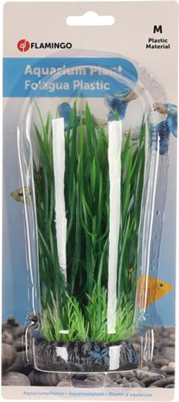 Flamingo f-406428 - Plantes Tropicales pour Aquarium Sri Lankais