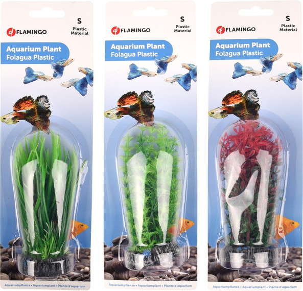 Flamingo f-406427 - Plante Tropicale Colorée pour Aquarium